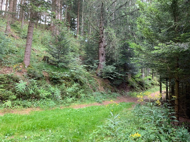 Wenigzell1